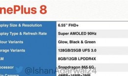2k24最新爆料信息