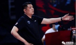 宋翔爆料浙江队视频完整版,浙江队视频完整版深度解析