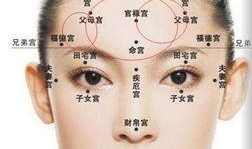 女人面相大爆料图解视频,图解视频中的美丽秘密