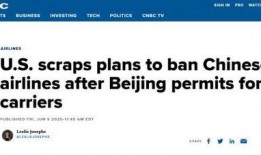 法国专家爆料视频大全,视频大全背后的惊人真相