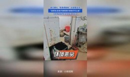 骑手爆料后厨视频,骑手曝光惊人内幕视频
