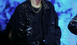 娱乐爆料严浩翔视频播放,娱乐爆料引网友热议