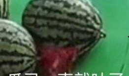 带你吃瓜免费观看,揭秘娱乐圈幕后故事