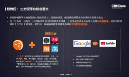 短视频知识爆料平台,热门内容背后的秘密