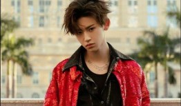 王琳凯新闻最新爆料,揭秘明星背后的真实故事