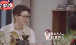 小江大姐爆料视频在线观看,揭秘幕后真相，带你走进事件核心