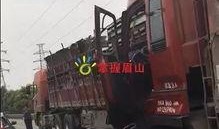 网友爆料货车视频,行车安全警钟长鸣