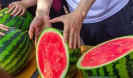 吃瓜劲爆免费,吃瓜劲爆，免费大放送！