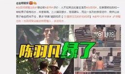 陈奕阳爆料全过程视频,揭秘事件真相与幕后黑幕