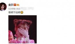 耿斯汉女朋友爆料视频,揭秘两人恋爱幕后故事”