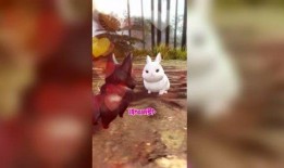 大肥兔最新爆料,揭秘娱乐圈最新动态