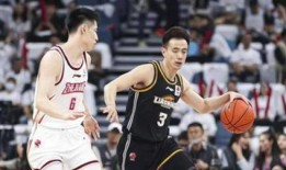 宋翔爆料浙江队视频完整版,浙江队视频完整版深度解析