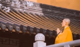 灵谷寺法师爆料视频全集,揭秘佛门内幕与修行真相