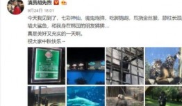 海杨村里人爆料视频播放,揭秘村庄背后的故事