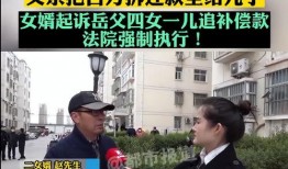 赵先生最新爆料新闻报道,最新新闻报道揭秘内幕