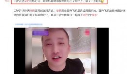 爆料辛巴的人叫啥呢视频